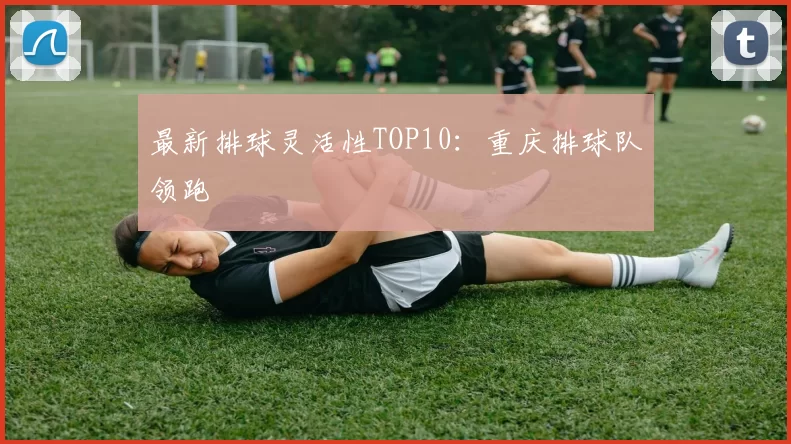 最新排球灵活性TOP10：重庆排球队领跑