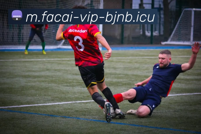 九游体育服务体系